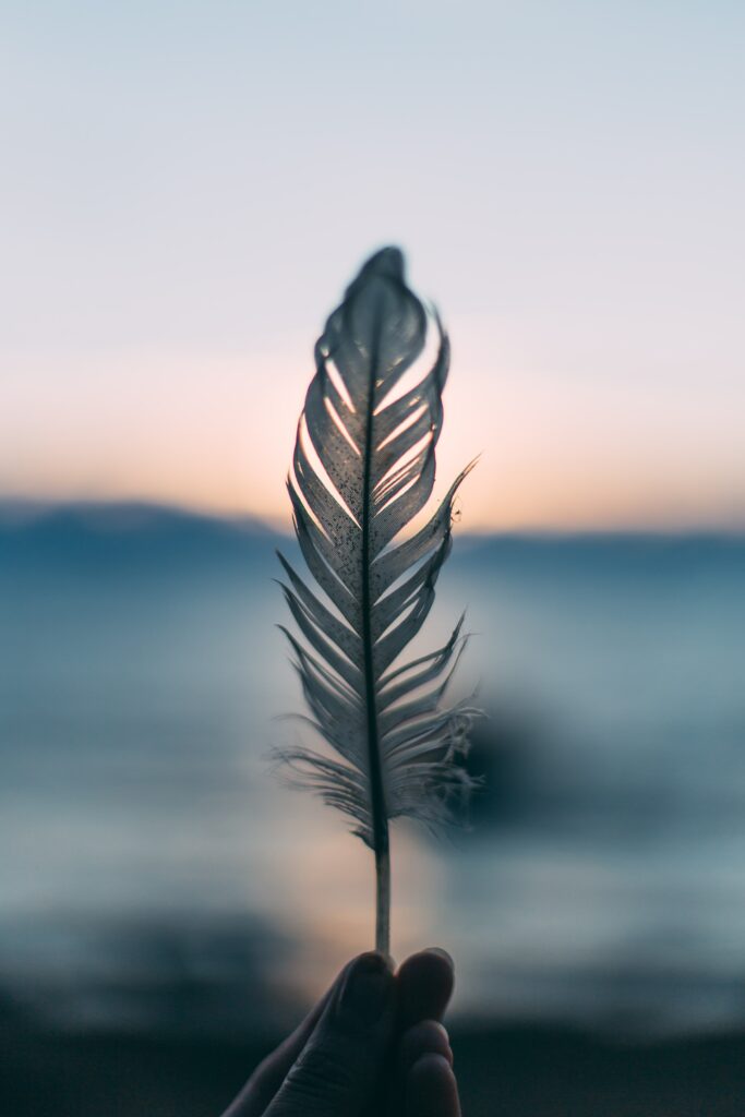 Plume